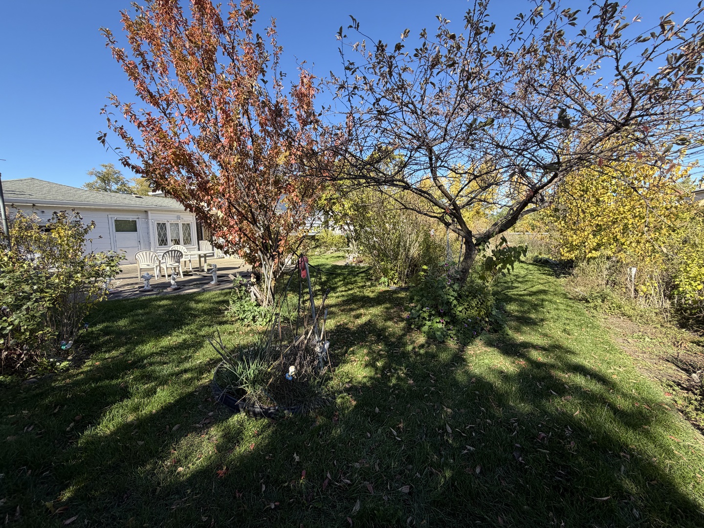 9037 Chester Avenue Niles, IL 60714 - Photo 4 of 12 a backyard of a house with table and chairs