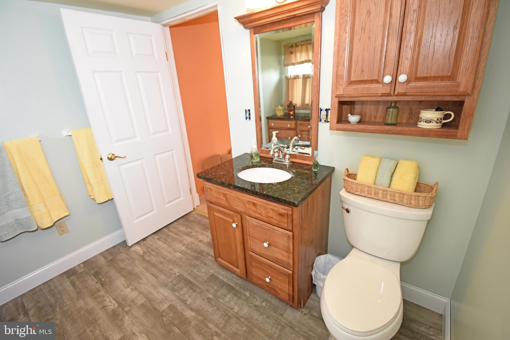 23151 Soundside Estates Road Deal Island, MD 21821 - Photo 4 of 34 Bathroom