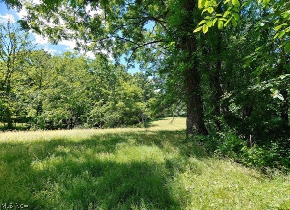 Kinsman Ridge Kinsman, OH 44428 - Photo 3 of 17 Gallery Image 3