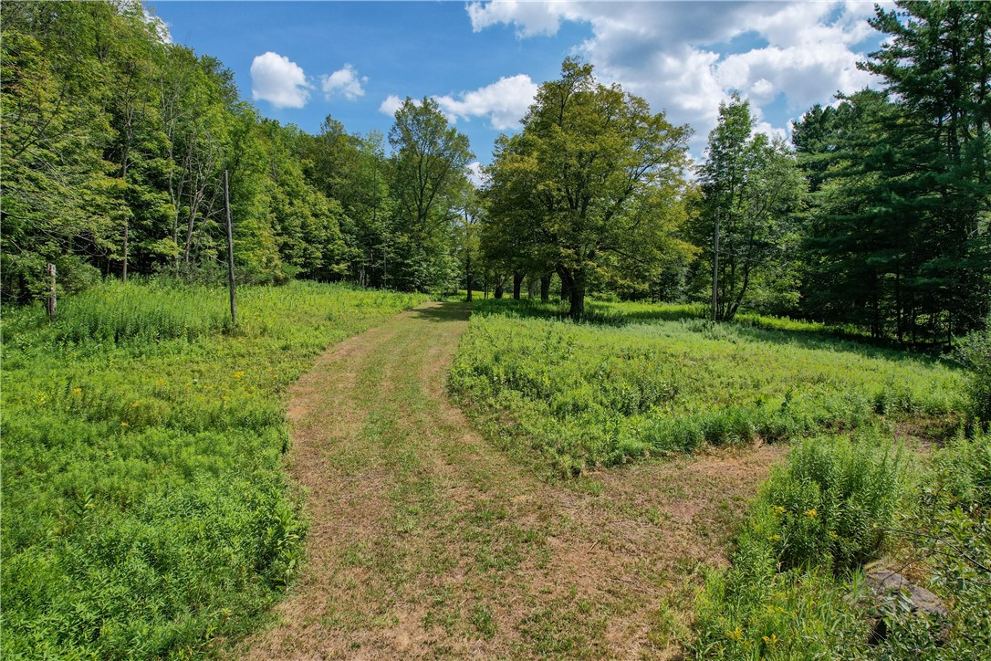 0 Red Kill Road Fleischmanns, NY 12430 - Photo 5 of 11 Easterly view -two existing well heads along the tree line to the left. Power line drop potential to the existing pole location