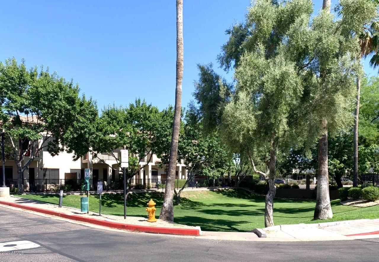 3150 East Beardsley Road, Unit 1017 Phoenix, AZ 85050 - Photo 25 of 27 Grass