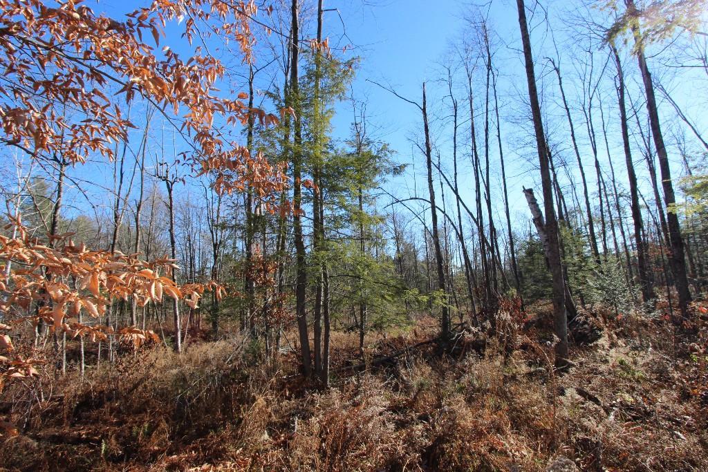 0 Bradford Road Turner, ME 04282 - Photo 10 of 15 Photo