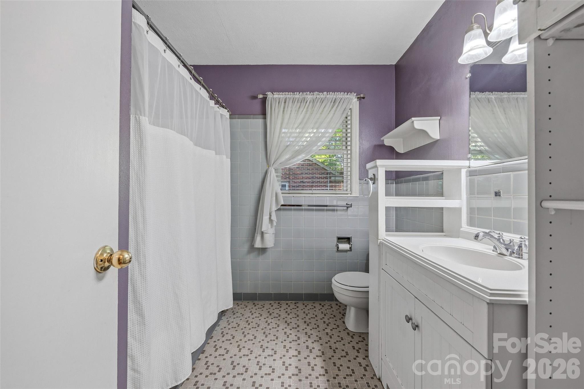 407 Pine Street Fort Mill, SC 29715 - Photo 31 of 45 a bathroom with a sink a toilet a window and shower