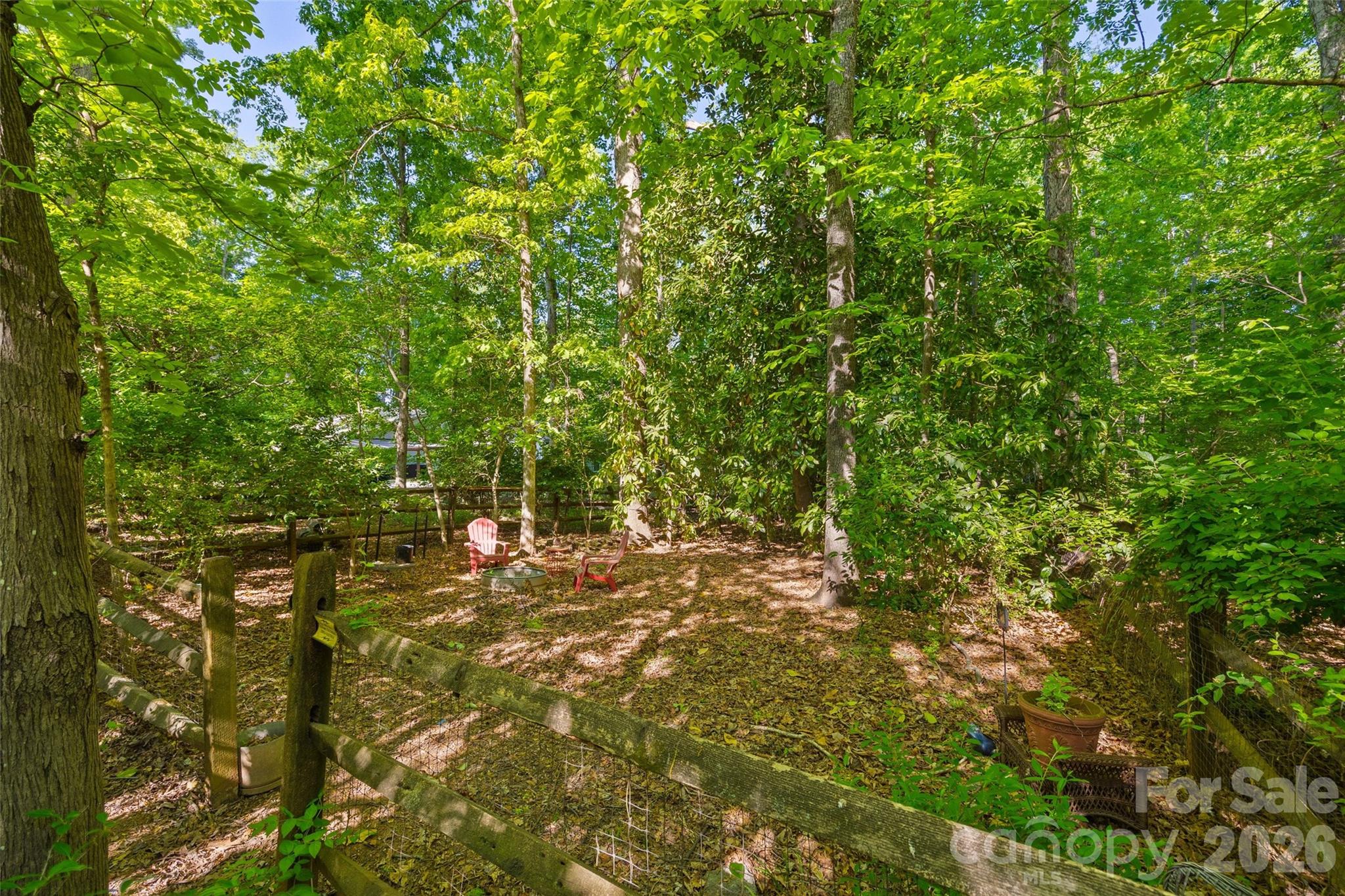 407 Pine Street Fort Mill, SC 29715 - Photo 37 of 45 a view of a yard with plants and tree