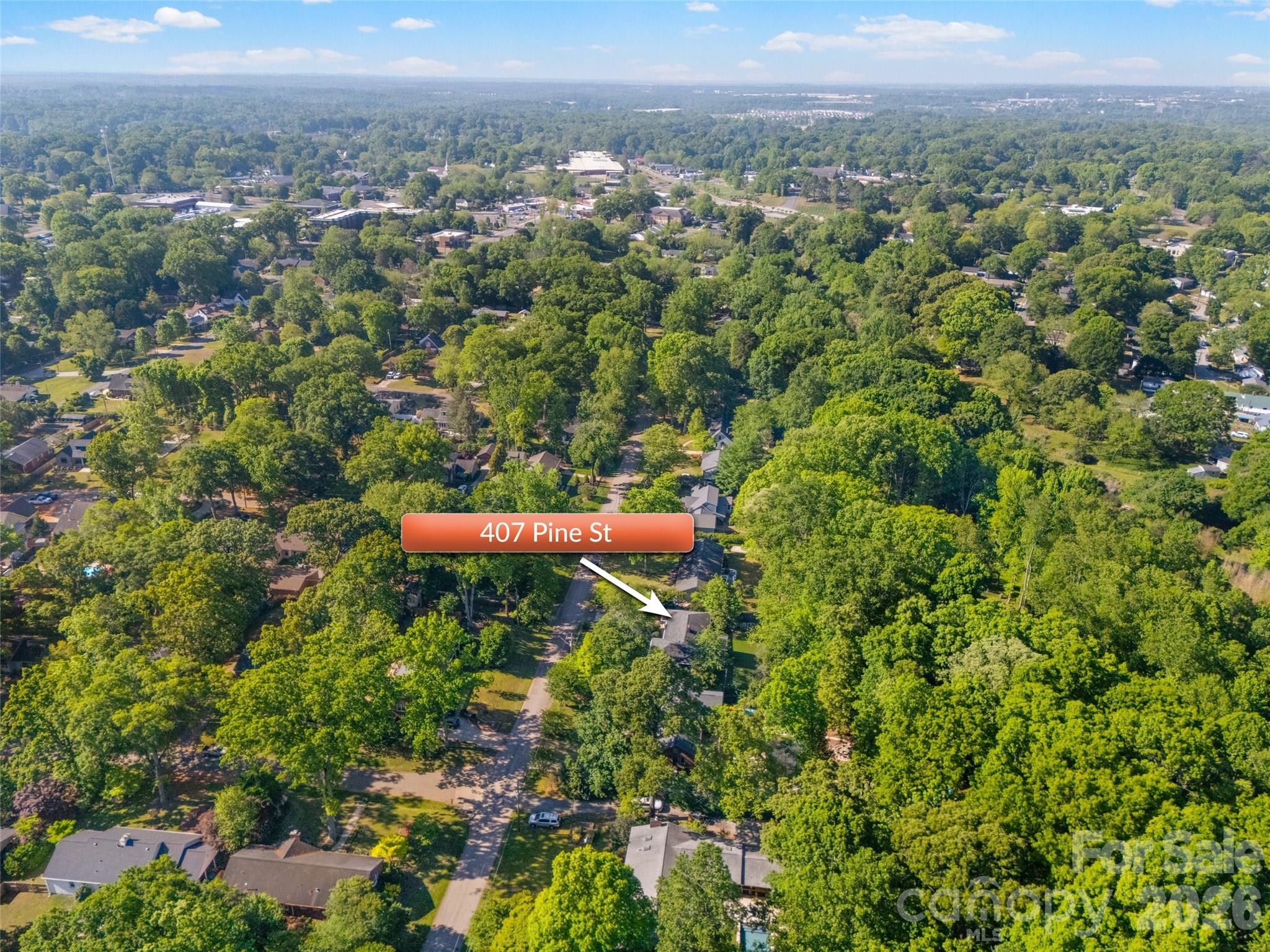 407 Pine Street Fort Mill, SC 29715 - Photo 43 of 45 a view of a city