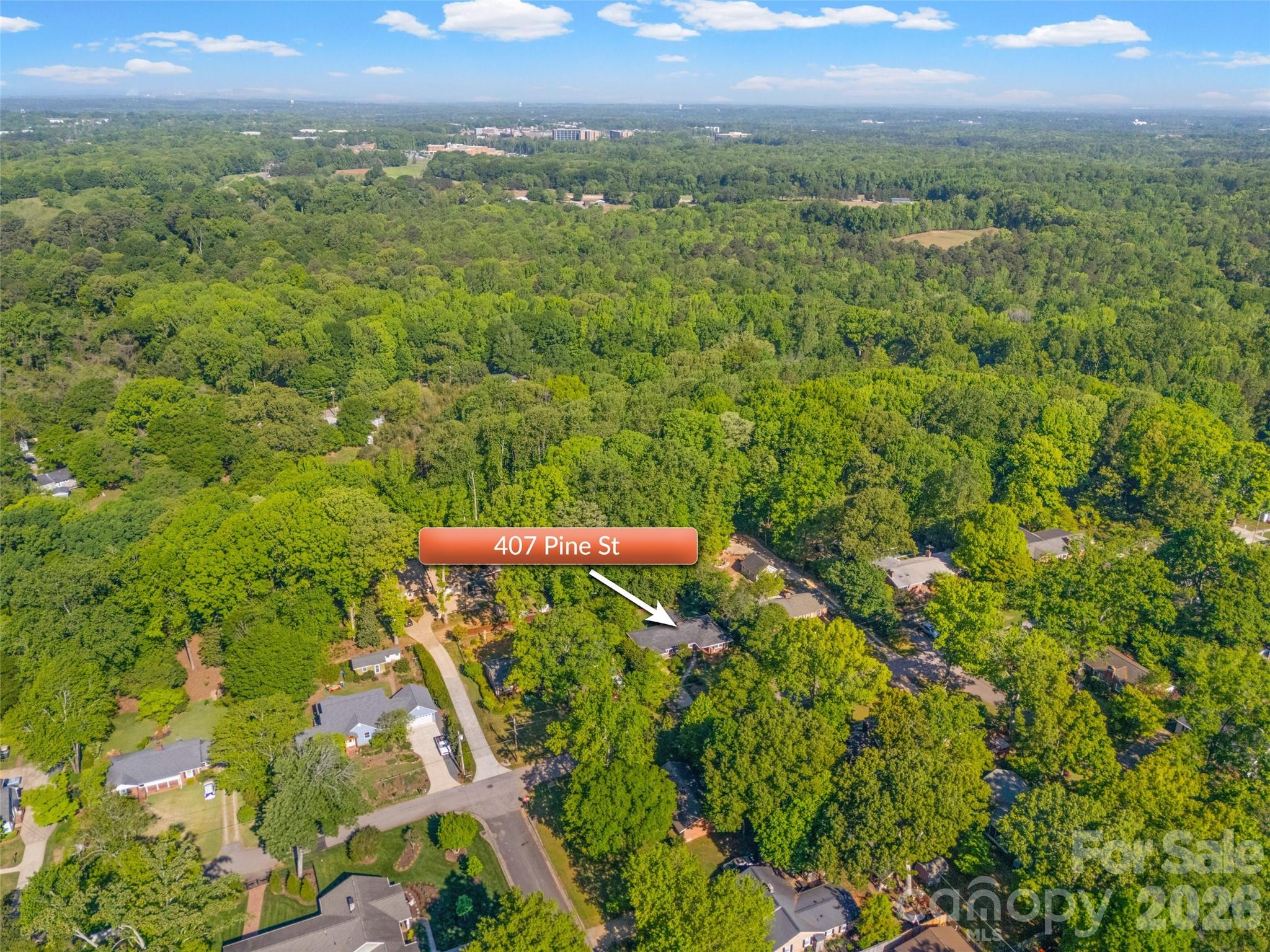 407 Pine Street Fort Mill, SC 29715 - Photo 44 of 45 a view of a city with lush green forest