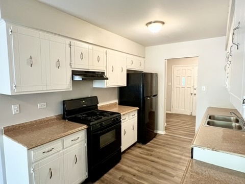 807 Violet Lane Matteson, IL 60443 - Photo 4 of 20