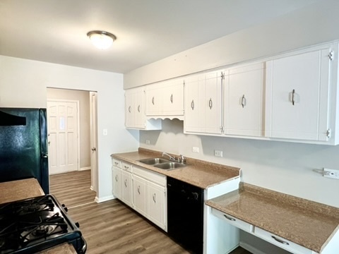 807 Violet Lane Matteson, IL 60443 - Photo 5 of 20