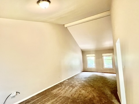 807 Violet Lane Matteson, IL 60443 - Photo 7 of 20