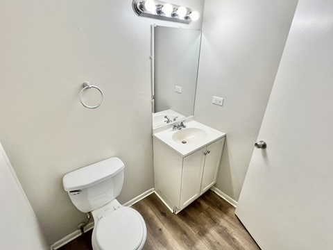 807 Violet Lane Matteson, IL 60443 - Photo 9 of 20