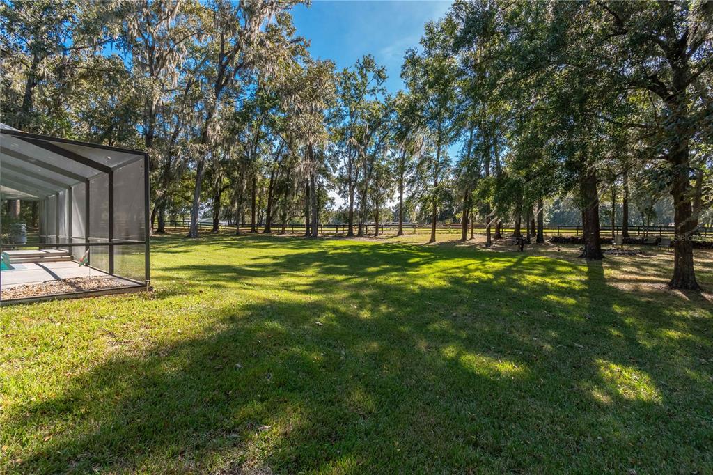 1969 Northwest 111th Loop Ocala, FL 34475 - Photo 8 of 48 a view of a park with large trees