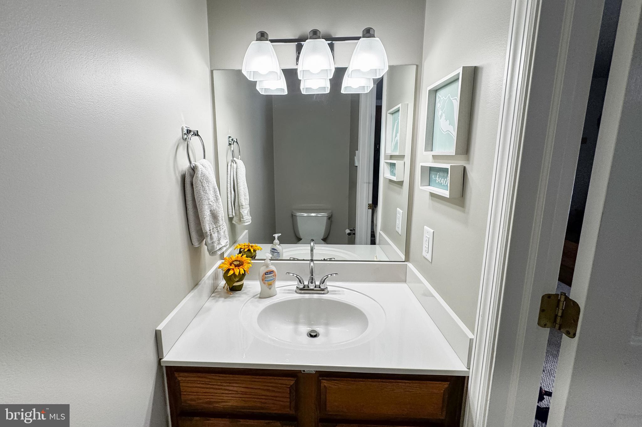 1469 Chaumont Avenue State College, PA 16801 - Photo 19 of 50 a bathroom with a sink and a mirror