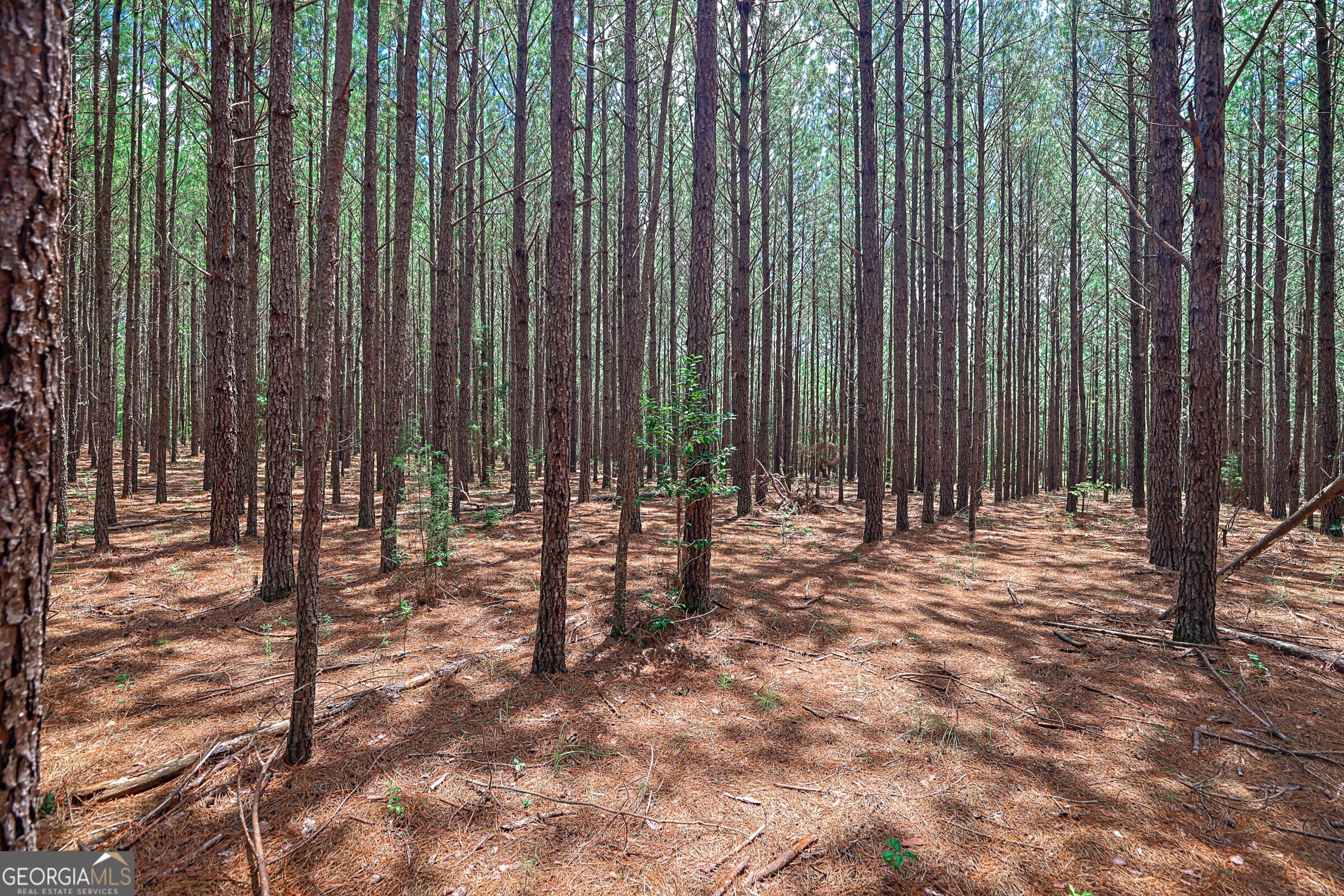 0 Wriley Road McIntyre, GA 31054 - Photo 1 of 51 Gallery Image 1