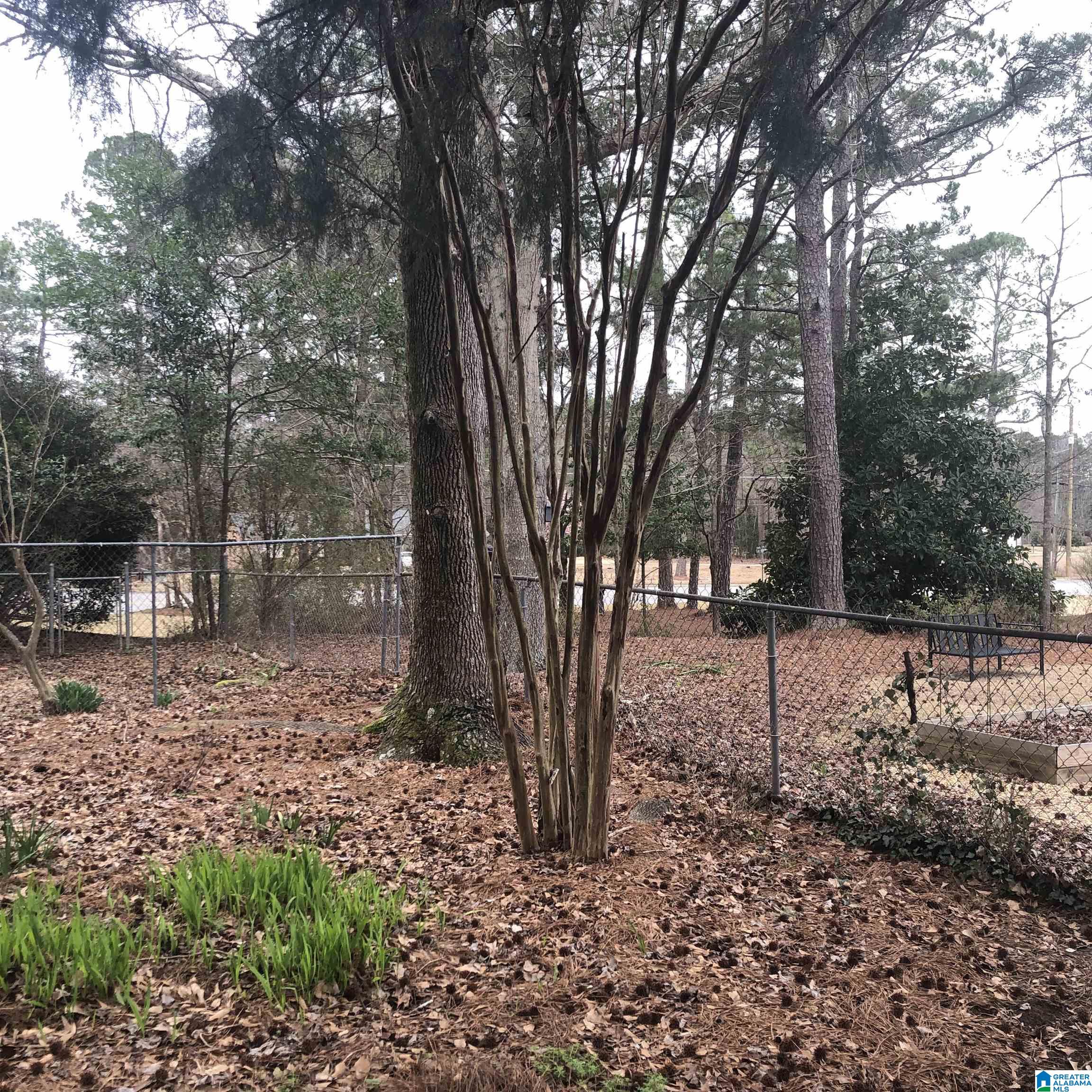 1403 Lay Dam Road Clanton, AL 35045 - Photo 29 of 45