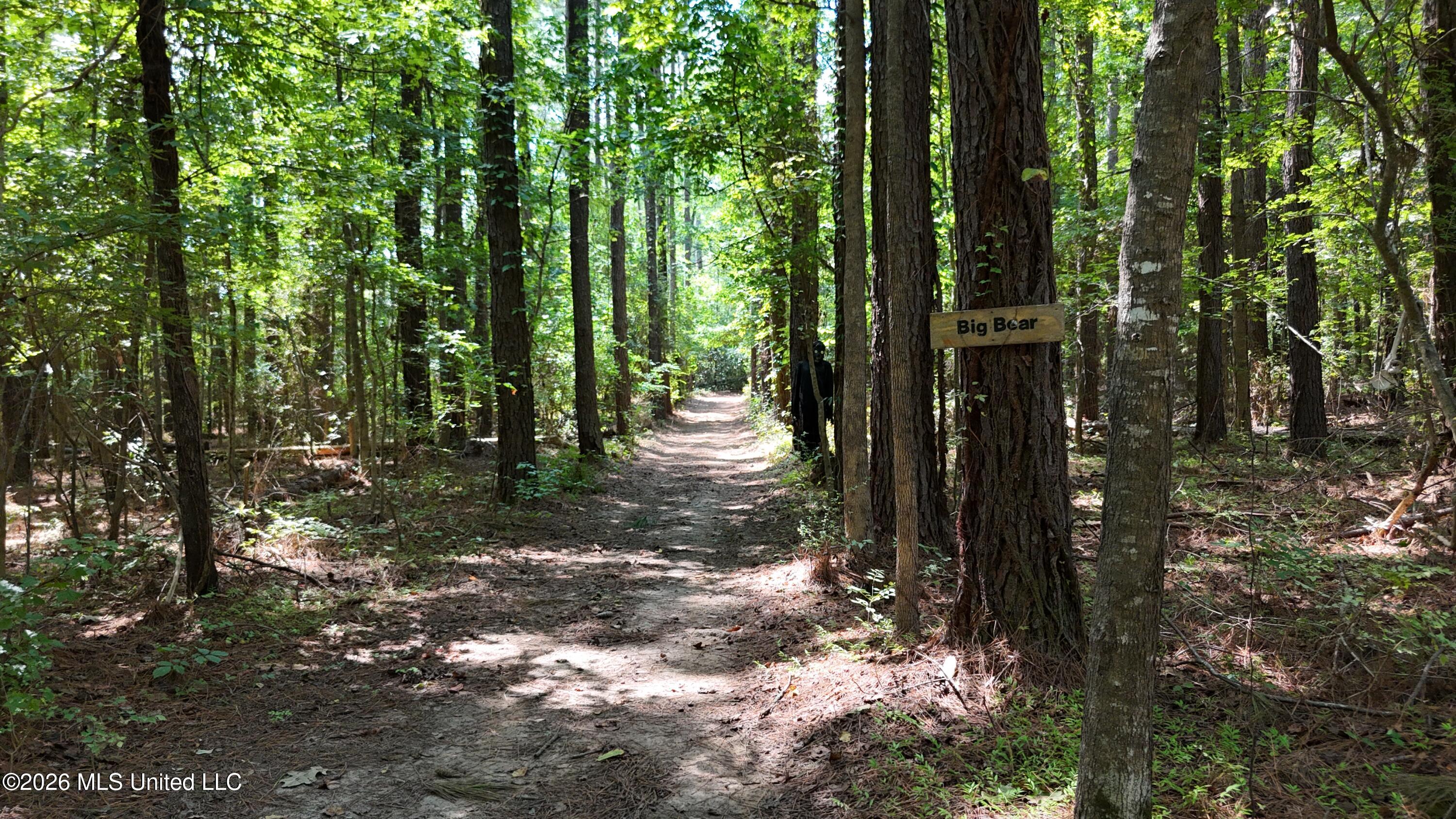 7 Jordan Road Natchez, MS 39120 - Photo 48 of 65 DJI_20260908141518_0047_D