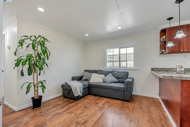 a living room with furniture and a potted plant