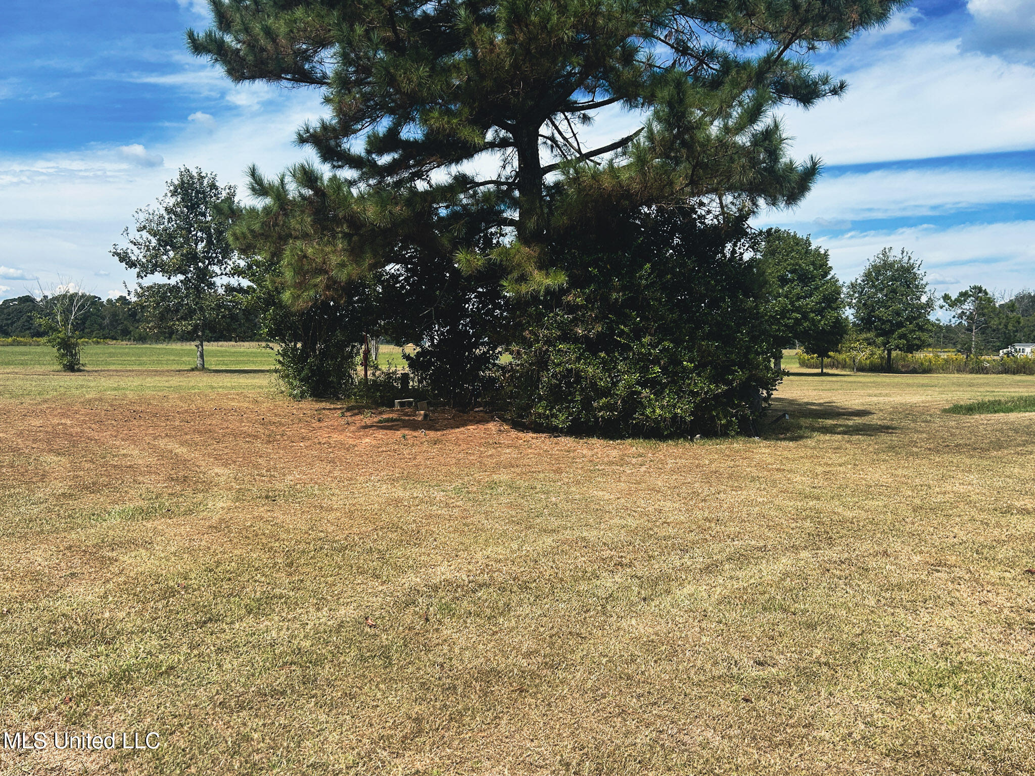 121 Old Progress Road Hattiesburg, MS 39401 - Photo 14 of 77 12-IMG_9515