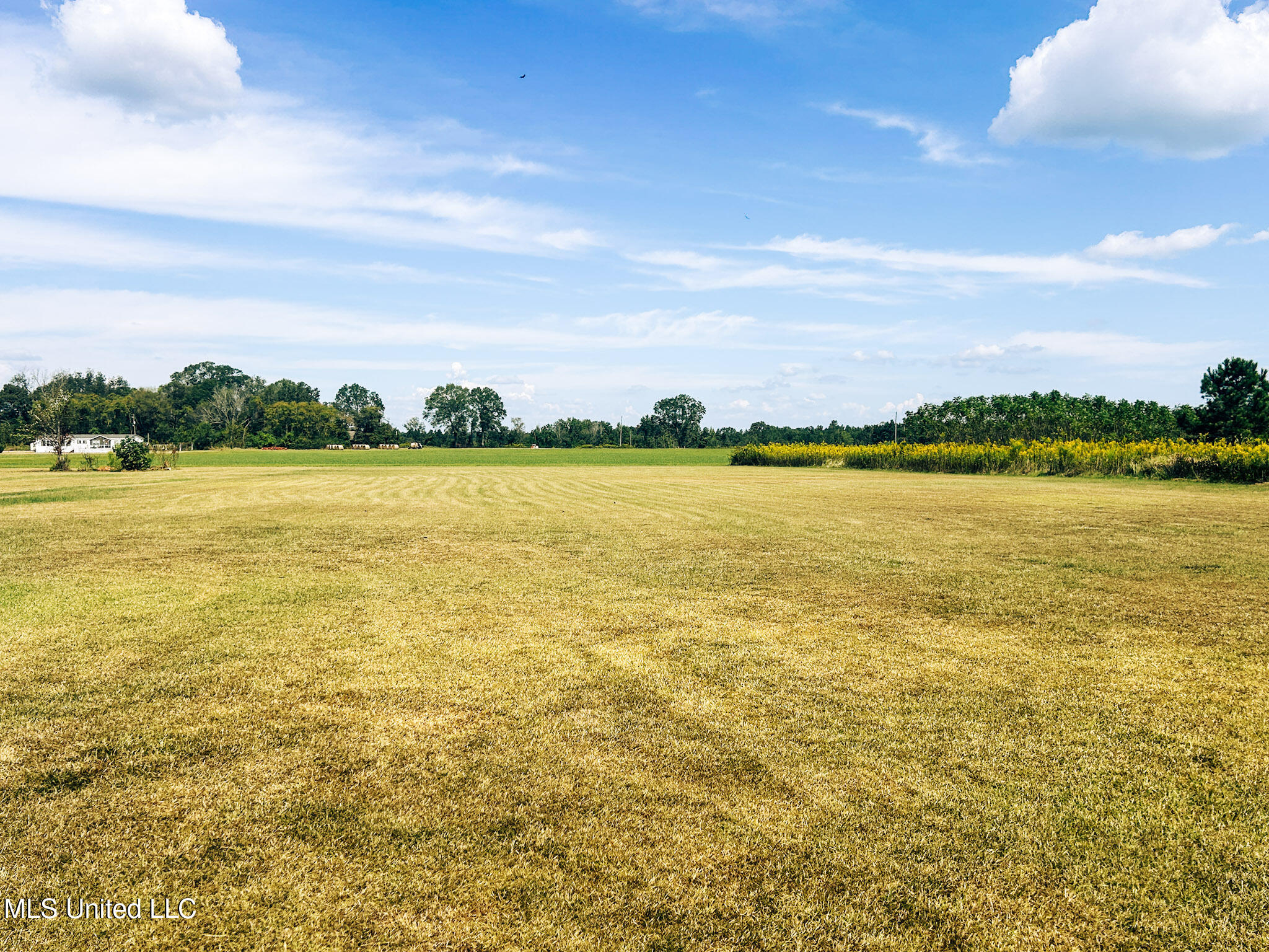 121 Old Progress Road Hattiesburg, MS 39401 - Photo 15 of 77 16-IMG_9509