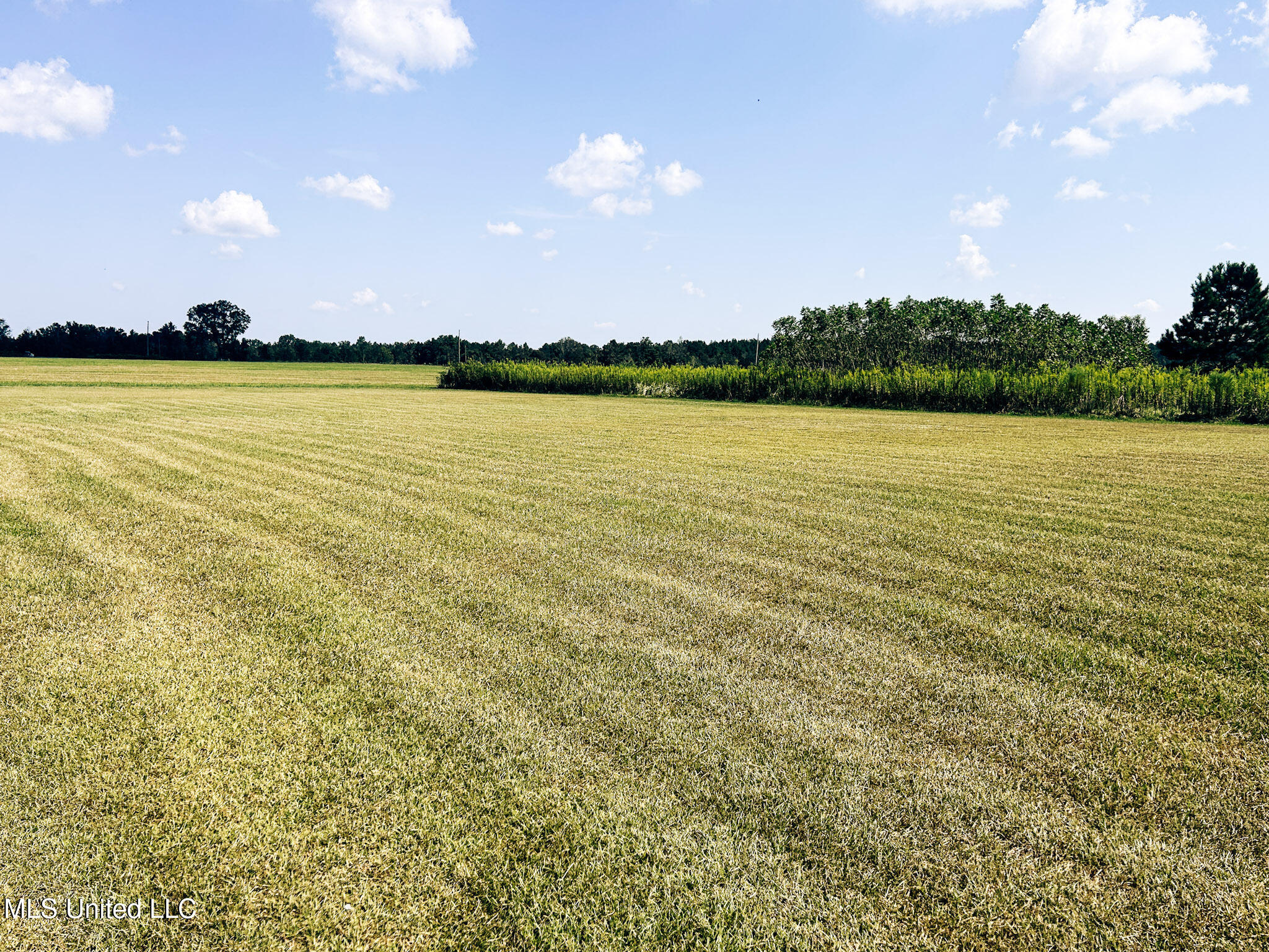 121 Old Progress Road Hattiesburg, MS 39401 - Photo 69 of 77 1-IMG_9147