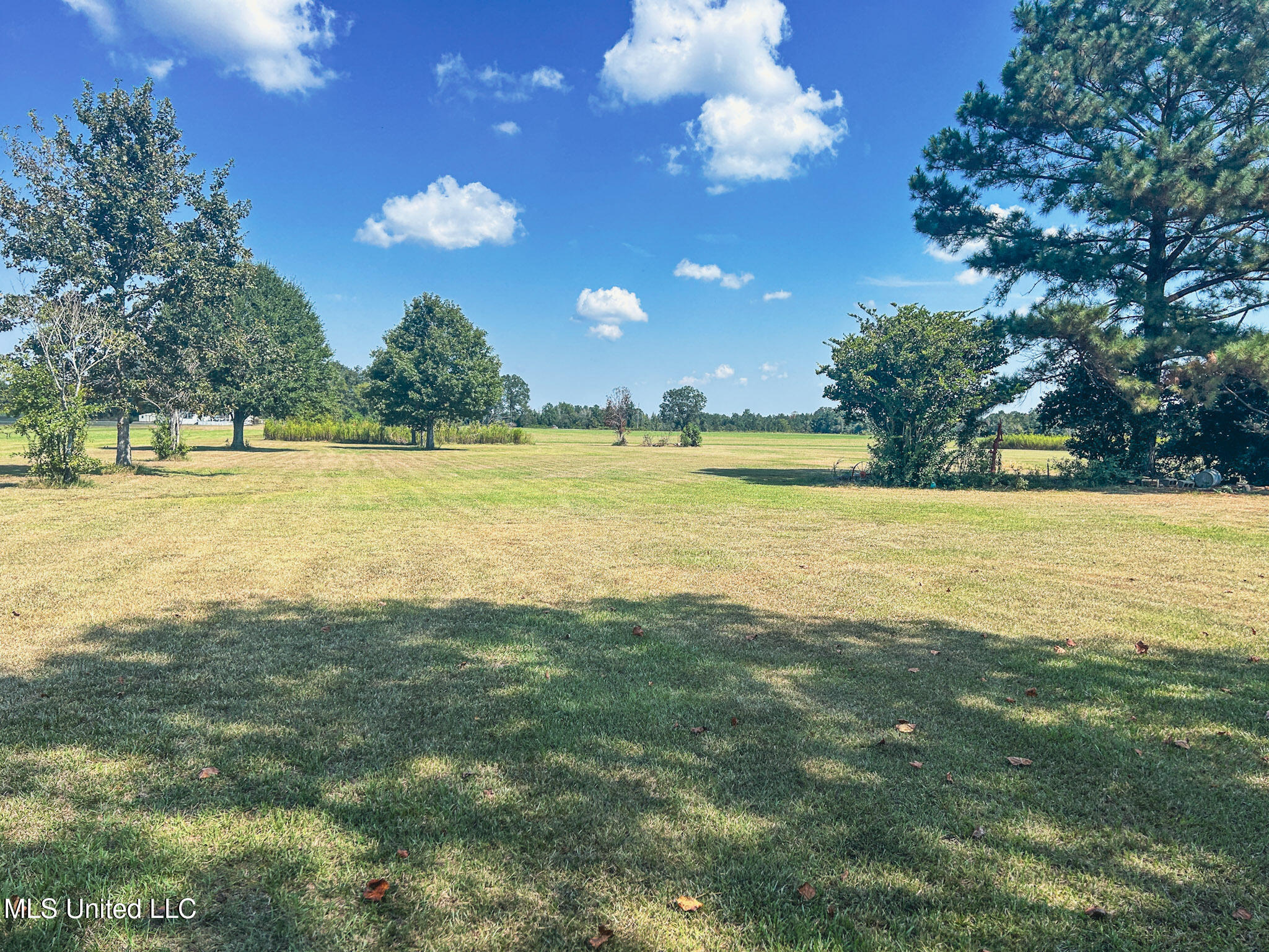 121 Old Progress Road Hattiesburg, MS 39401 - Photo 74 of 77 6-IMG_9141