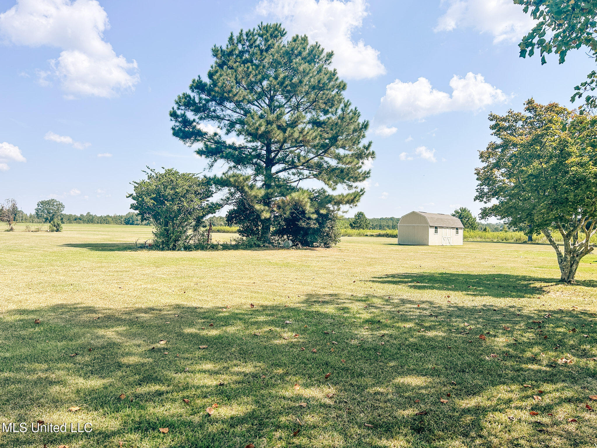 121 Old Progress Road Hattiesburg, MS 39401 - Photo 75 of 77 7-IMG_9140