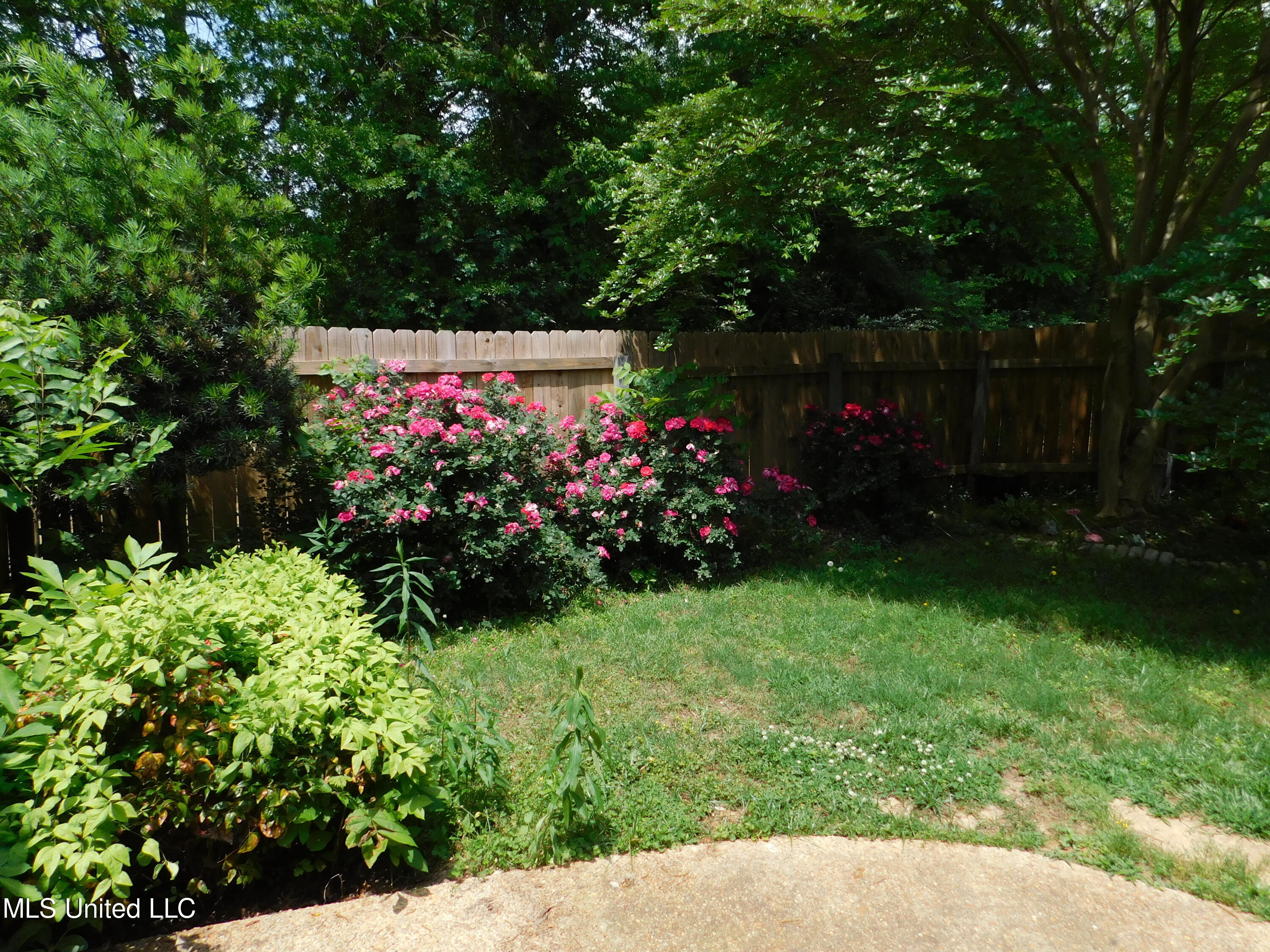 373 Post Oak Road Madison, MS 39110 - Photo 26 of 31 DSCN3701