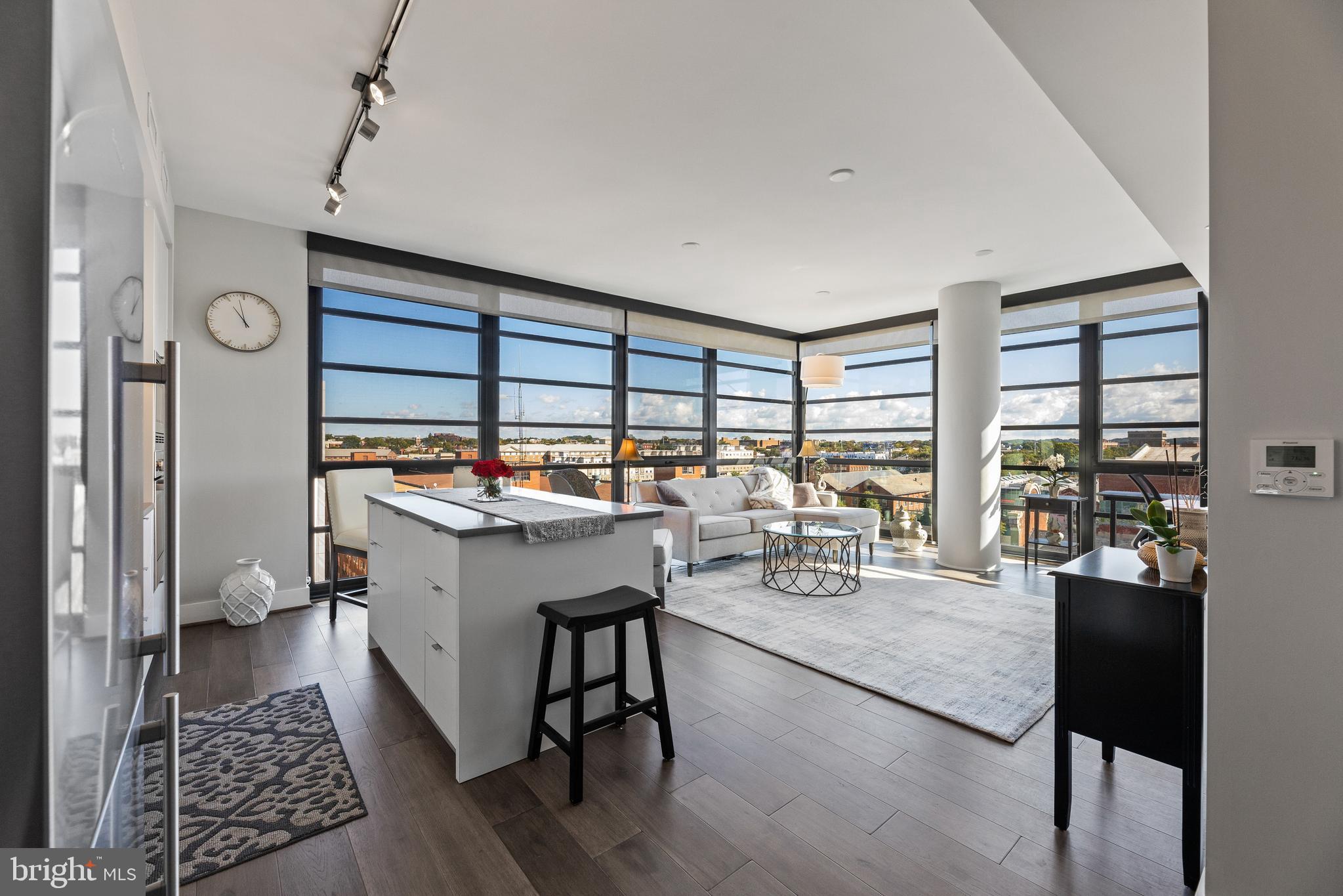 1300 4th Street Southeast, Unit 915 Washington, DC 20003 - Photo 2 of 34 a living room with furniture a rug and a large window