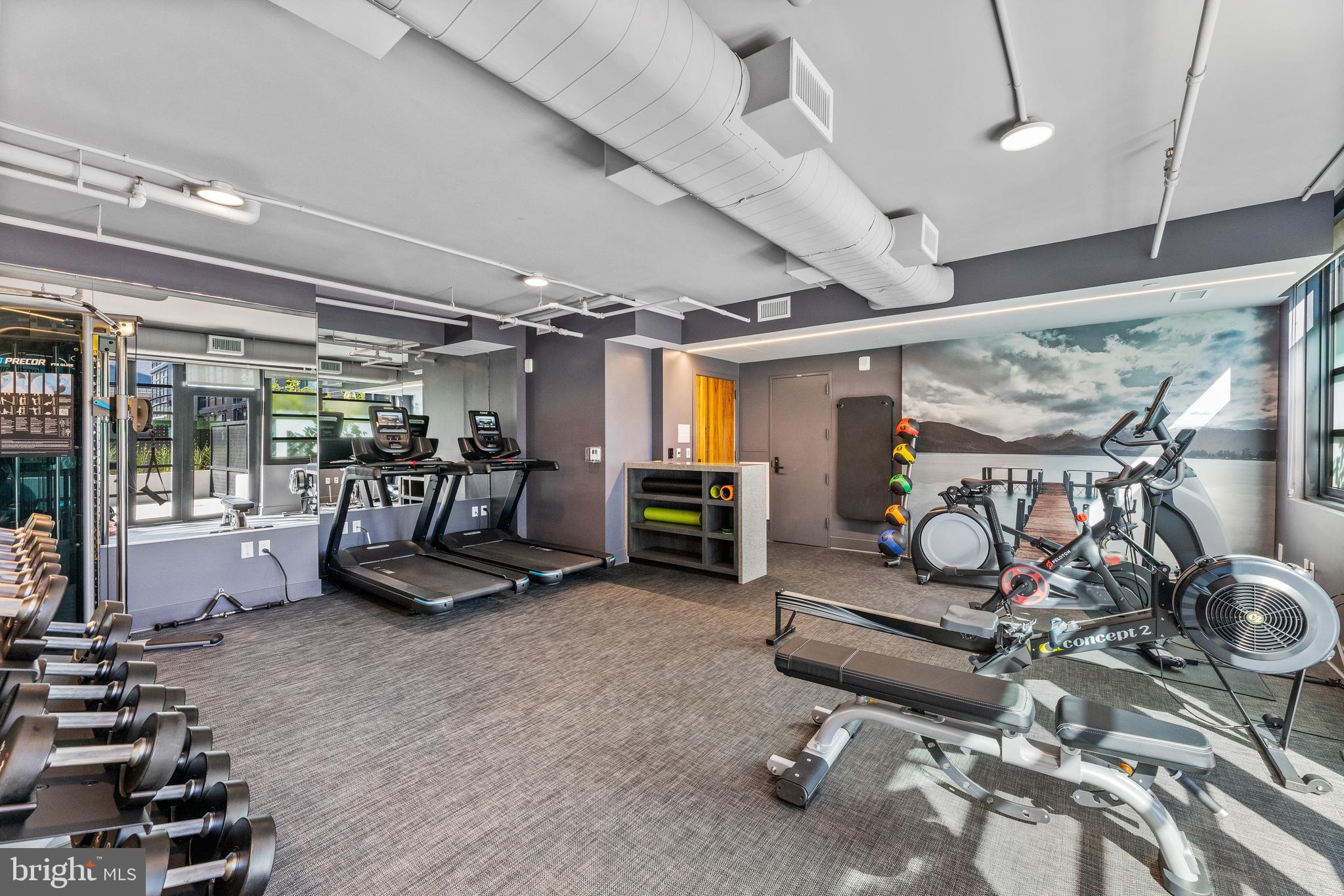 1300 4th Street Southeast, Unit 915 Washington, DC 20003 - Photo 23 of 34 a view of a room with gym equipment
