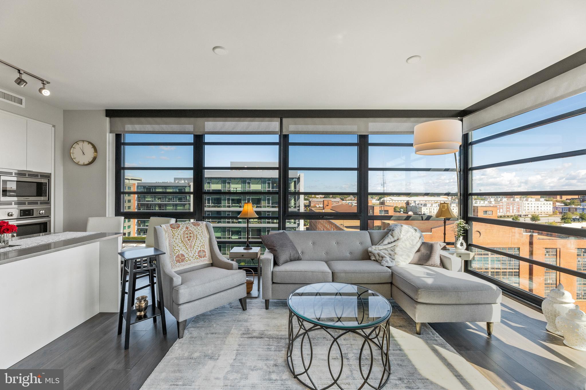 1300 4th Street Southeast, Unit 915 Washington, DC 20003 - Photo 3 of 34 a living room with furniture a rug and a large window