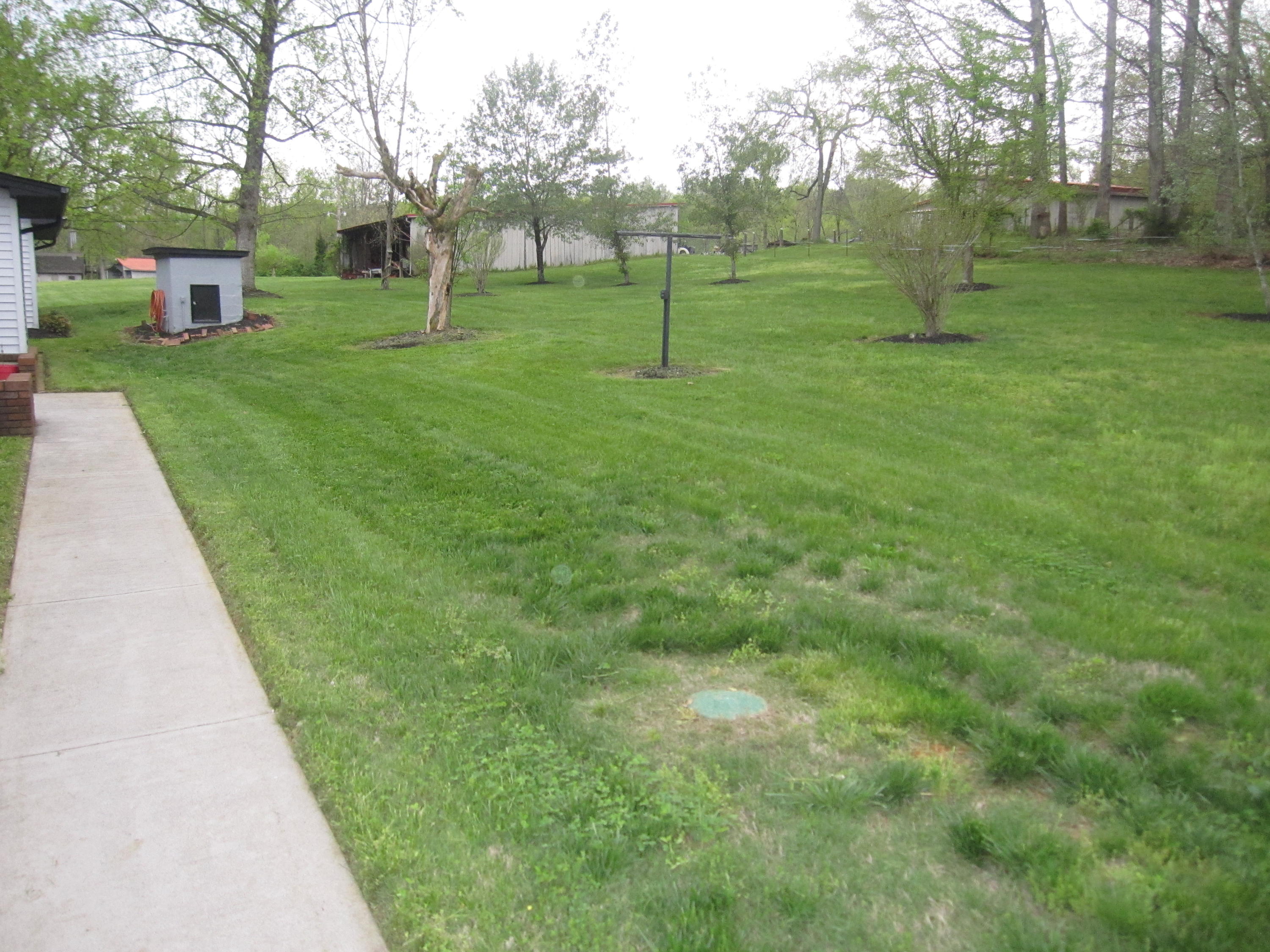 1211 Rhea Road Knoxville, TN 37920 - Photo 19 of 22 IMG_1908