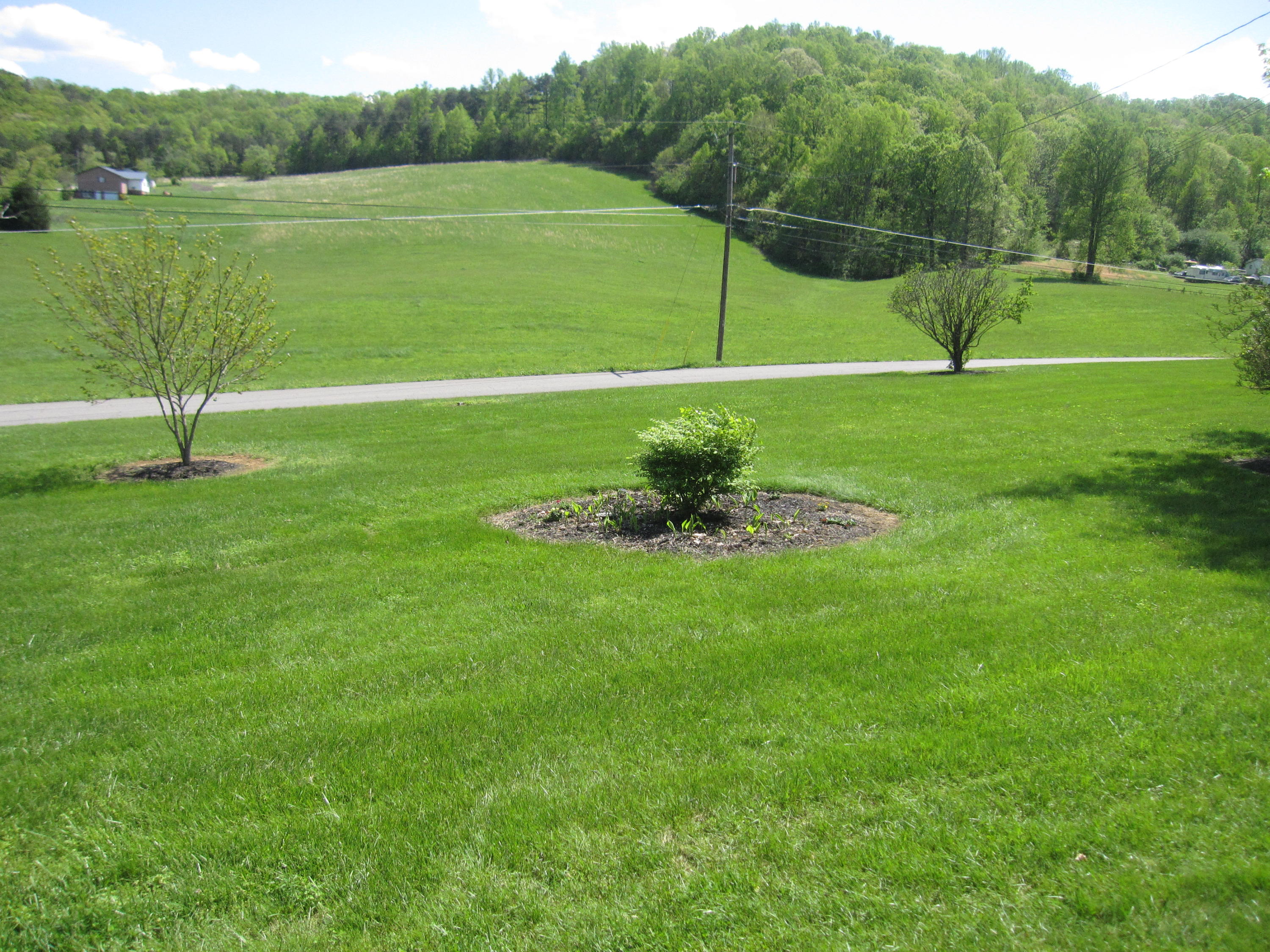 1211 Rhea Road Knoxville, TN 37920 - Photo 21 of 22 IMG_1911
