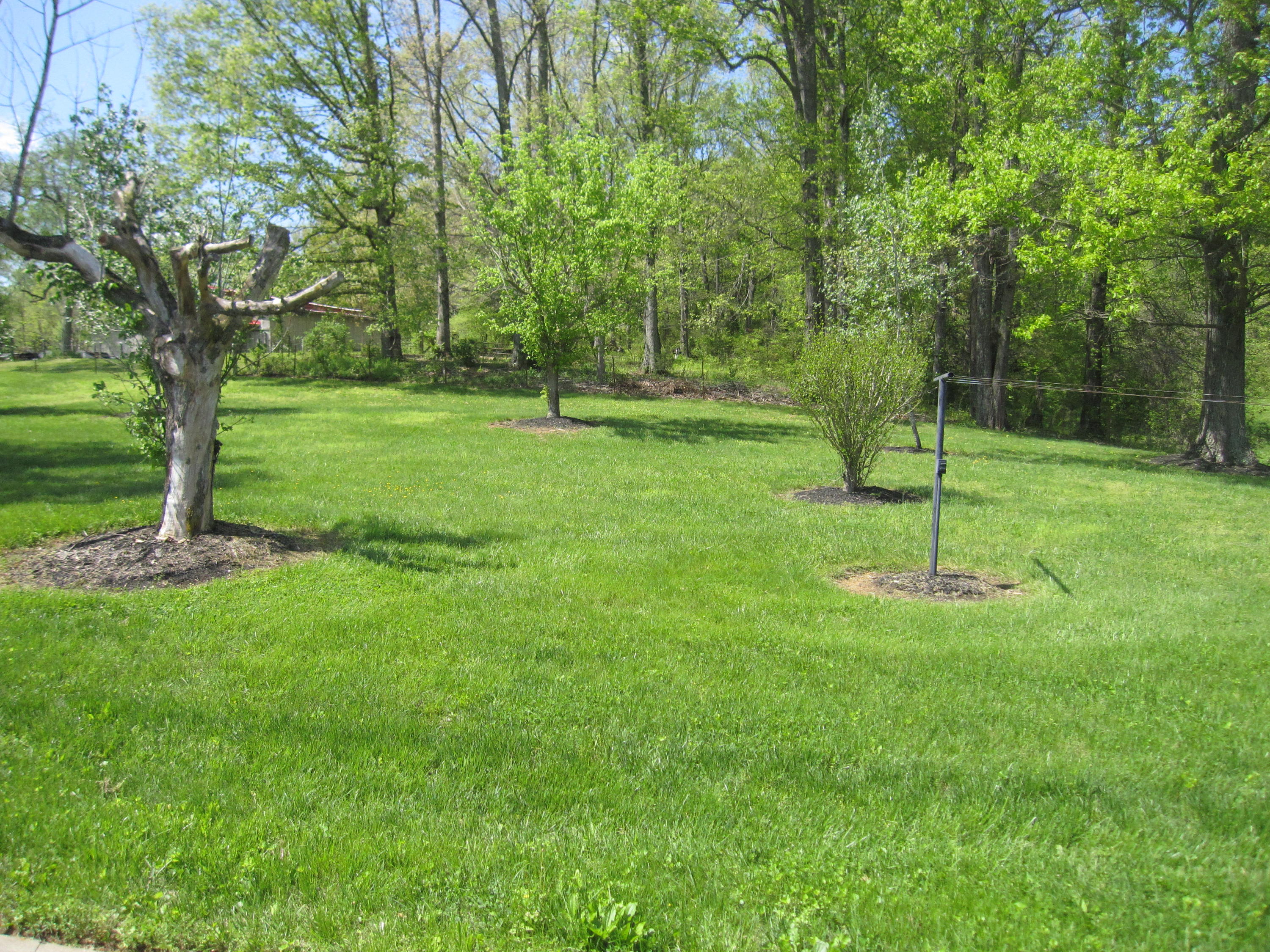 1211 Rhea Road Knoxville, TN 37920 - Photo 22 of 22 IMG_1914