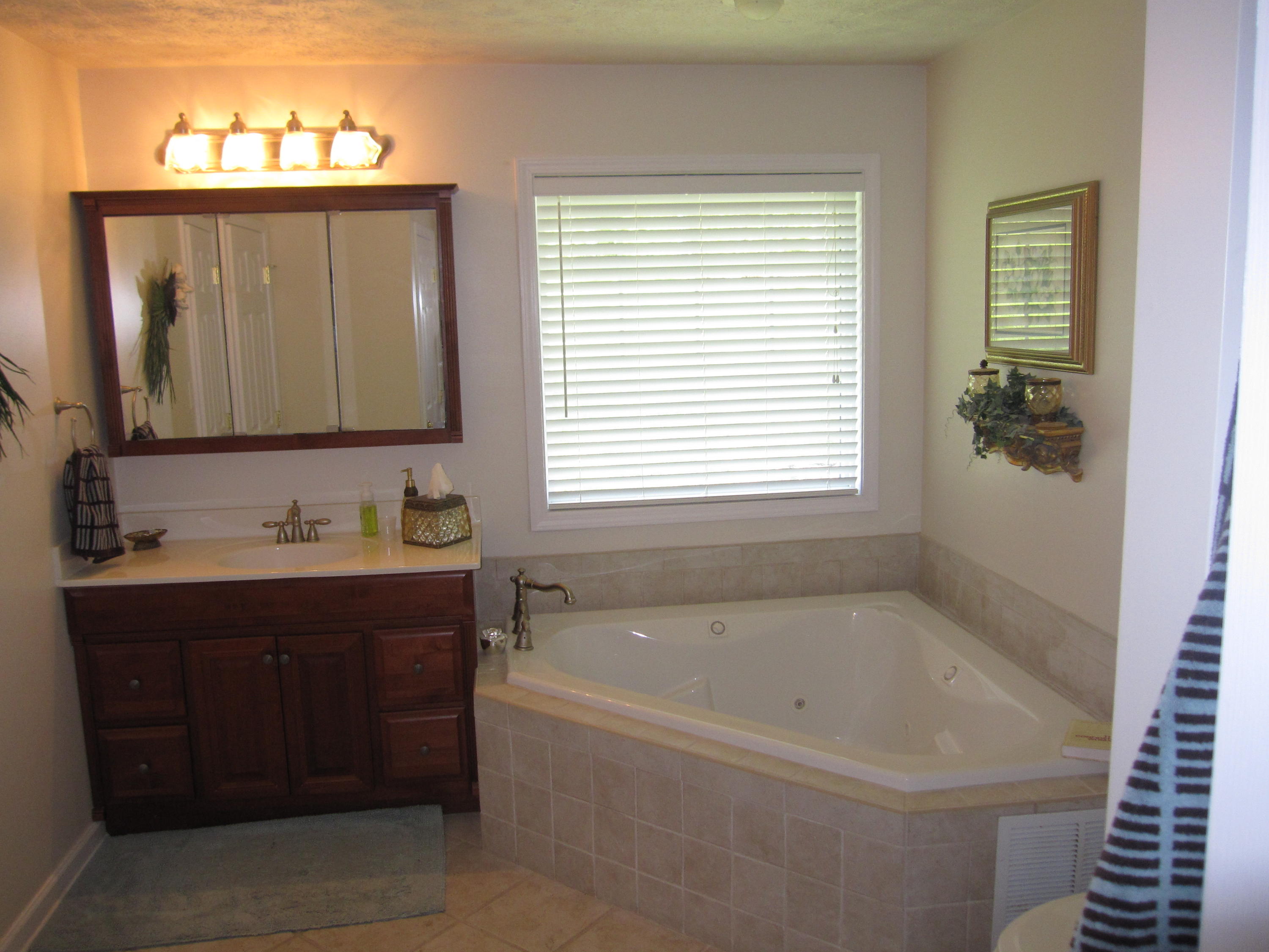1211 Rhea Road Knoxville, TN 37920 - Photo 8 of 22 IMG_1925