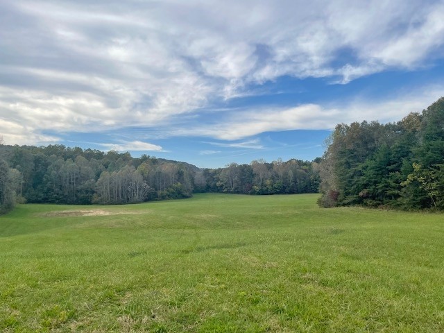 961 Farmer Road Walling, TN 38587 - Photo 1 of 17 Gallery Image 1