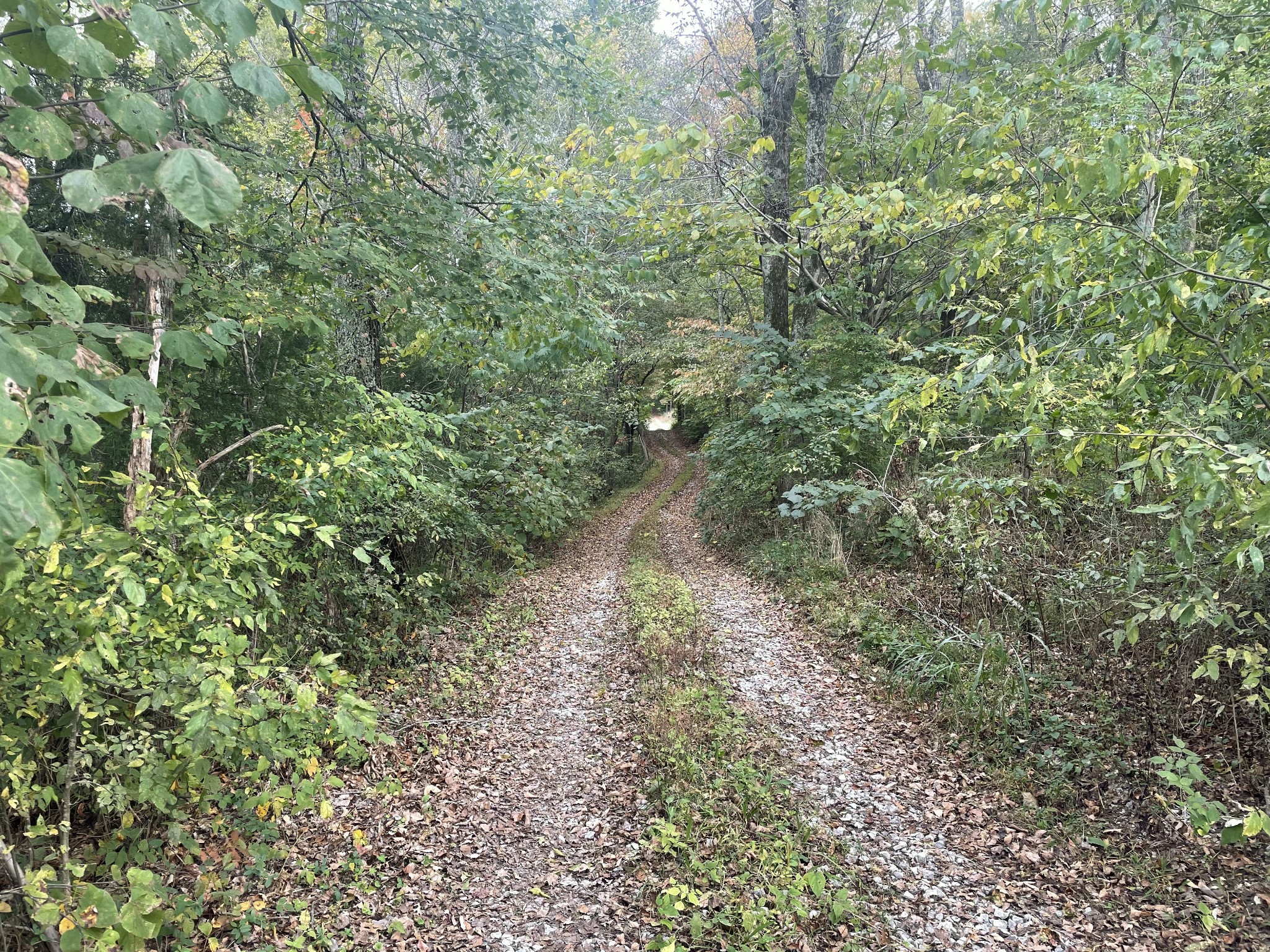 961 Farmer Road Walling, TN 38587 - Photo 3 of 17 Gallery Image 3