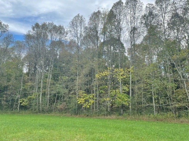 961 Farmer Road Walling, TN 38587 - Photo 6 of 17 Gallery Image 6