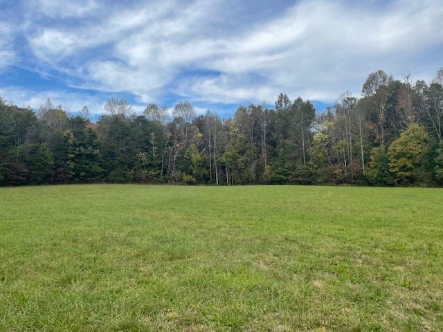 961 Farmer Road Walling, TN 38587 - Photo 10 of 17 Gallery Image 10