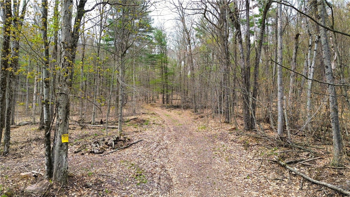 0 Patent Line Road Franklin, NY 13775 - Photo 22 of 47