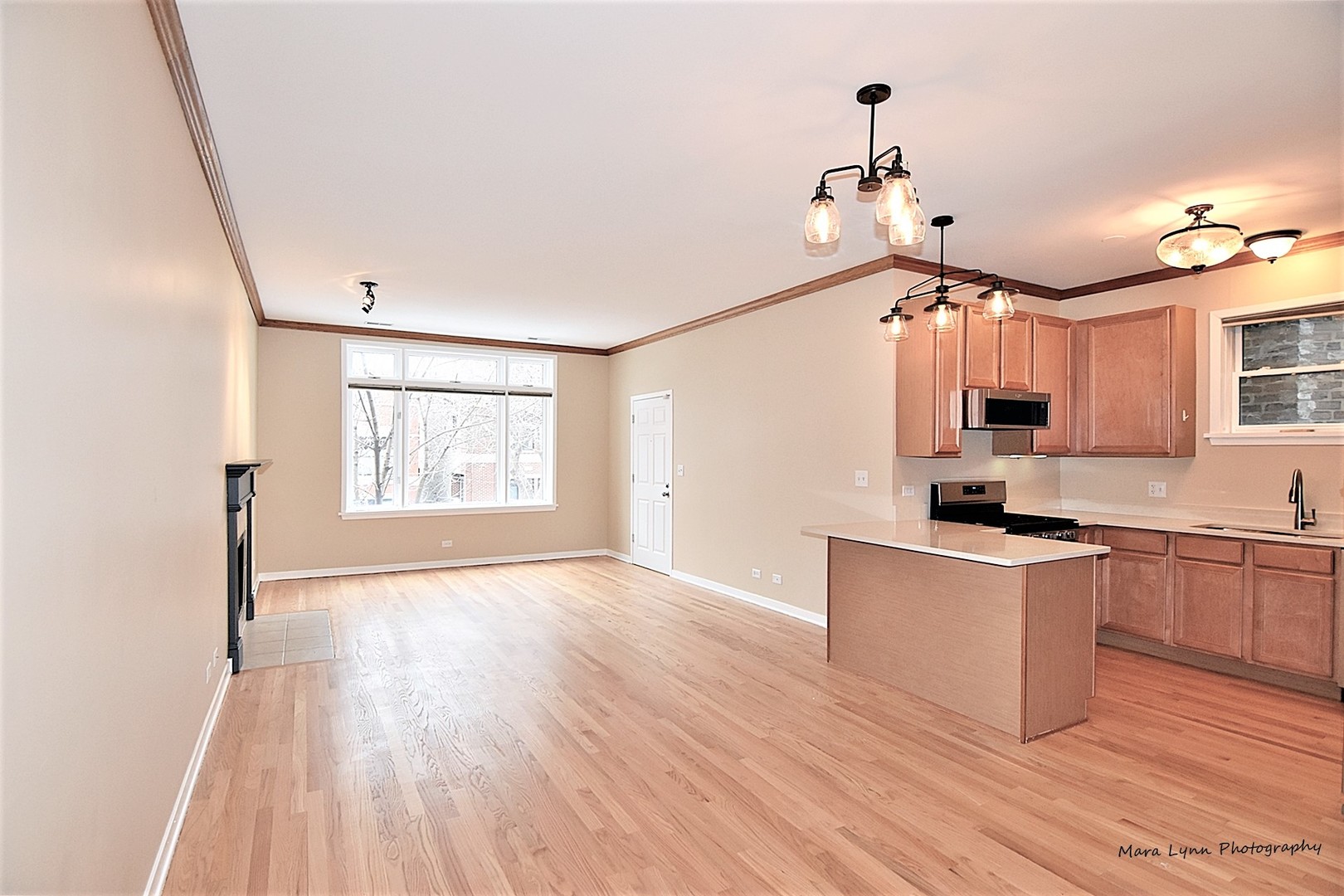 1311 West Fillmore Street, Unit B Chicago, IL 60607 - Photo 11 of 25 a kitchen with granite countertop a stove top oven a sink dishwasher and a refrigerator with wooden floor