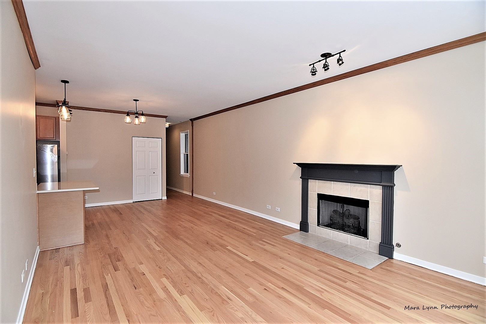 1311 West Fillmore Street, Unit B Chicago, IL 60607 - Photo 6 of 25 a view of an empty room with wooden floor and a fireplace
