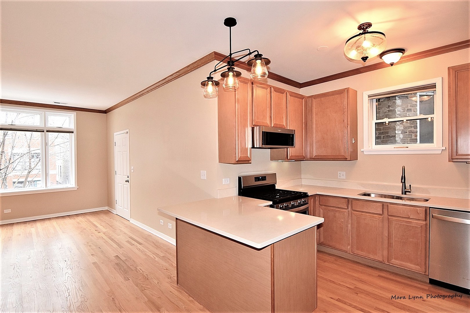 1311 West Fillmore Street, Unit B Chicago, IL 60607 - Photo 8 of 25 a kitchen with a sink cabinets and window