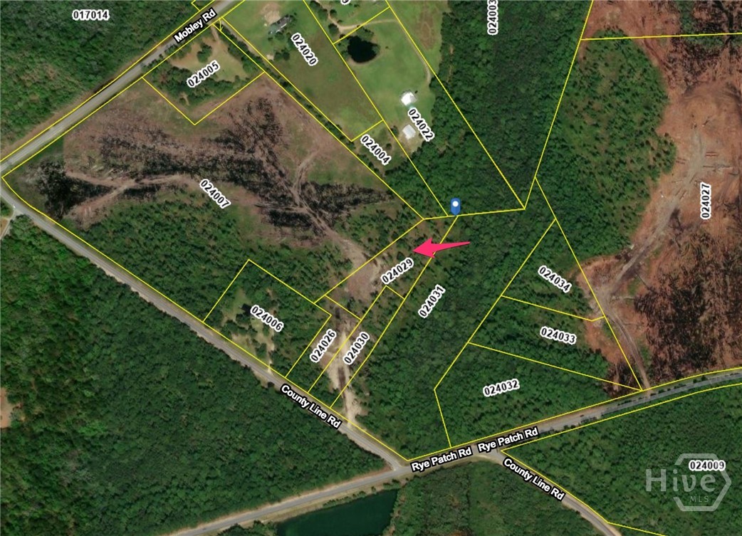 127 County Line Road Hinesville, GA 31313 - Photo 34 of 35