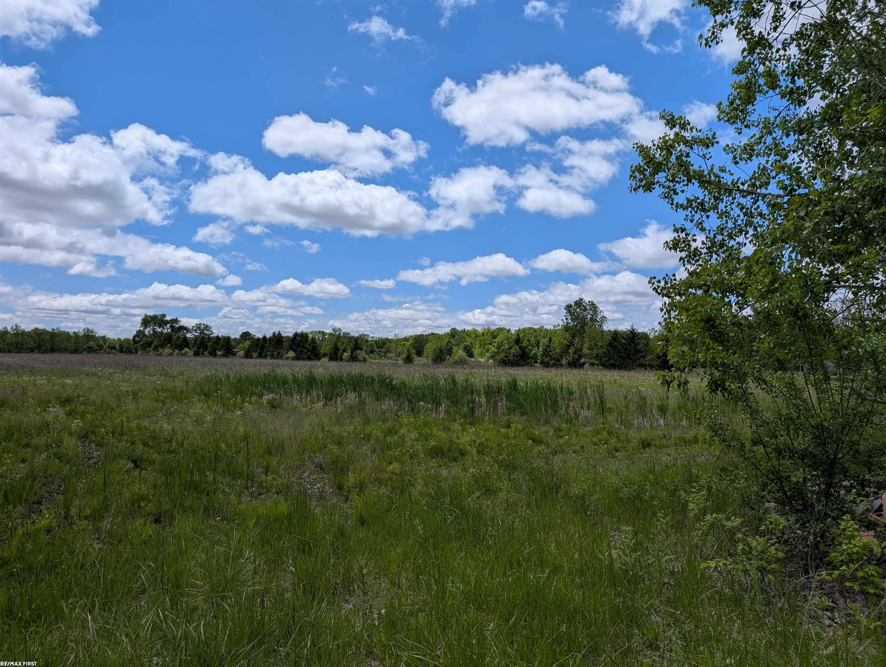 Masters Road Goodells, MI 48027 - Photo 4 of 7