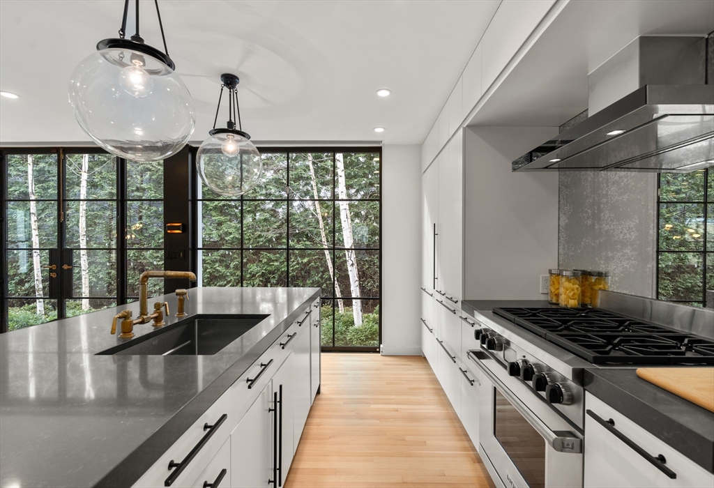 12 Martin Street Cambridge, MA 02138 - Photo 13 of 38 a kitchen with stainless steel appliances granite countertop a sink a stove and a wooden floors