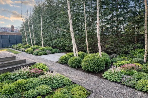 a view of a garden with plants