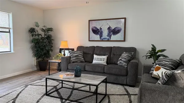 a living room with furniture and a potted plant