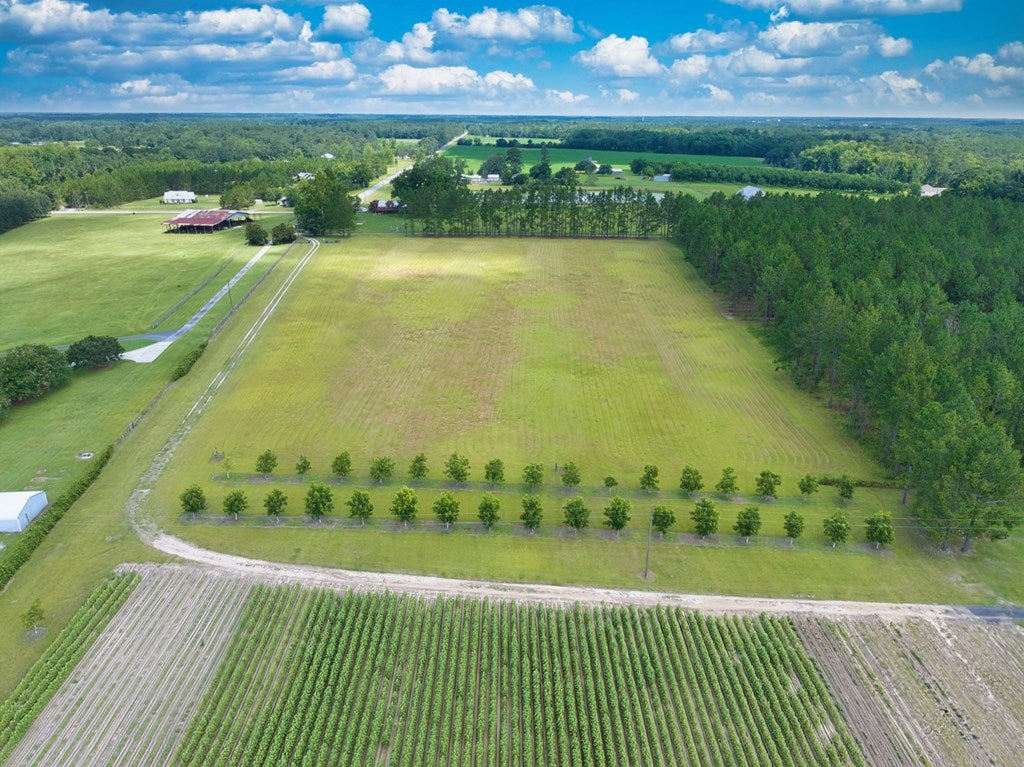 6936 Simpson Road Hahira, GA 31632 - Photo 14 of 34 Gallery Image 14