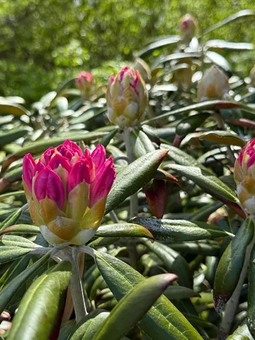 a view of a tennis court