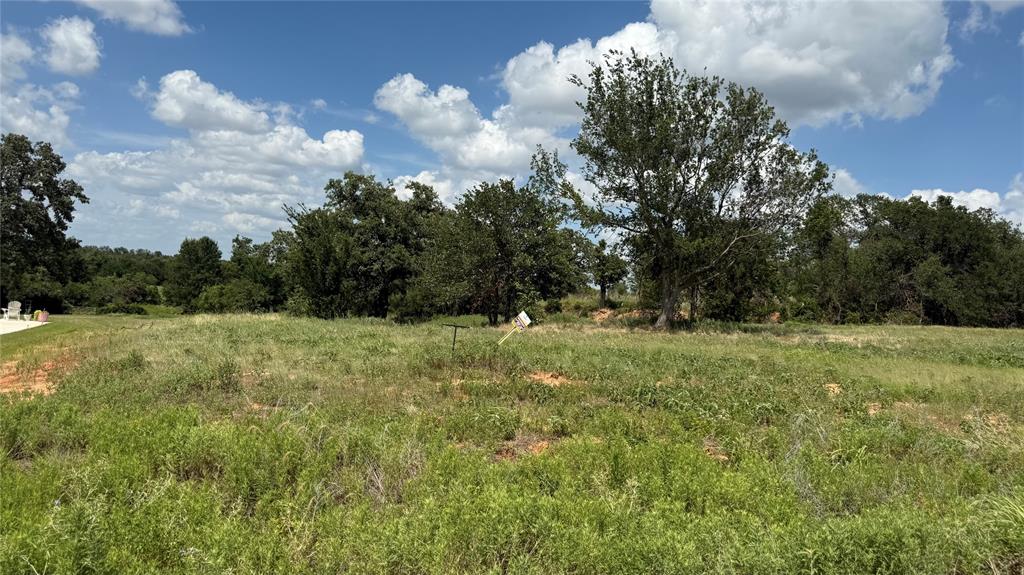 1173 Gonzollas Road Springtown, TX 76082 - Photo 4 of 4