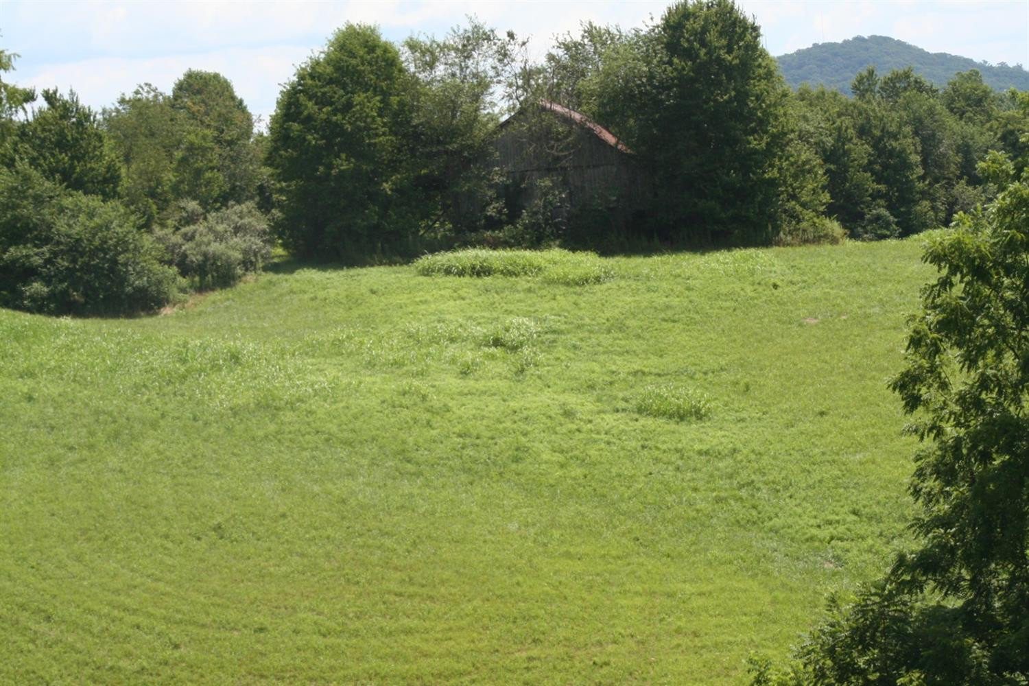 1969 McWhorter Road London, KY 40741 - Photo 7 of 17 Photo 7